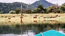 Private Jeep Safari to Galoya National Park From Sigiriya