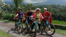 Jatiluwih E-bikes Tour Cycling Group