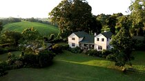 Kiambethu Tea Farm Tour and Lunch From Nairobi