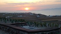Santorini:Sunset Private Agri‑Educational Visit to anOrganicFarm 