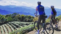 4 Hour Cycling in Taipei