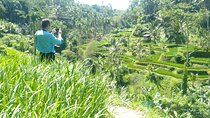 Best Of Ubud Waterfall Swing Private Guided Tour