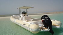 Private Luxury Speedboat Experience