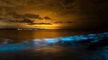 Phang Nga Bay Private Bioluminescence and Sea Canoeing Tour