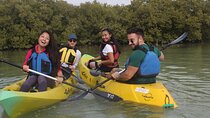 Mangrove Kayaking Purple Island Adventure