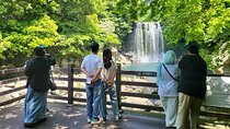 Private Tour Cheonjeyeon Falls & Spirited Garden in Jeju Island 