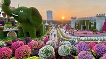 Skip the Line entry Tickets to Dubai Miracle Garden with Transfer