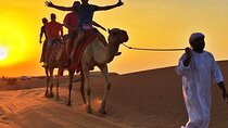 Private Sunset Safari With Extreme Dune Bashing & Camel Rides 