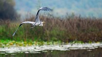 7-Hours Private Guided Wine and Gastro Tour in Skadar Lake