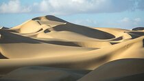 2 Days Tour from Cairo to the White Desert