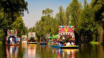 Private Tequila Craft Beer Tasting - Mexico City Floating Gardens