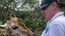 Private Nairobi Day tour to Giraffe Center and Karen Blixen