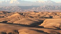 Desert Experience Agafay with Quad Ride Camel and a Dinner Show