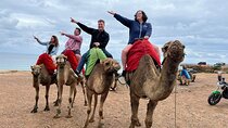 A Full Day-Private City, Sightseeing and Cultural Tour in Tangier