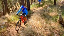 Pedals & Flavours: Sorrento oil and lemon tour