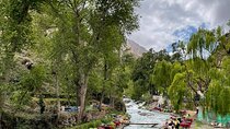 Private Nature Trip to Atlas Mountains and 3 Valleys Waterfalls 