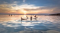 3-Night Jordan Flavors Tour: Petra, Wadi Rum, and the Dead Sea