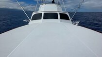 Half Day Morning Fishing Charter 