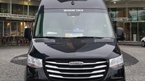 Istanbul Airport Minivan or Minibus Private Meet Transfer 