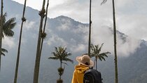 Cocora Valley and Salento Horseback Riding Day Tour 
