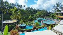 Cretya Ubud Tours 