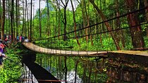 Full-Day Private Tour of Zhangjiajie National Forest Park