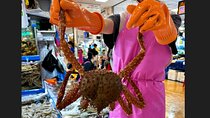Korean Market Adventure with Chef Yie - Noryangjin Fish market
