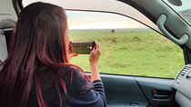Olpejeta Lake Nakuru & Masai Mara 5 days and 4 nights.