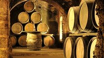 Rioja wine region with visit to winery & Vitoria-Gasreiz
