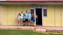 Shared Half-Day Tour in Punta Cana with Local Guide