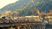 Kyoto & Nara Day Tour: Golden Pavilion, Fushimi Inari & Deer Park