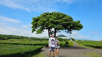 Small group Private Day Tour - West of Jeju Island