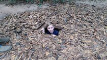 Cu Chi Tunnels Half Day Tour