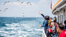Full-Day Princes Island Tour with Lunch from Istanbul