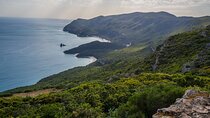 Sesimbra, Arrabida & 5 Wines Tasting Small Group Tour from Lisbon