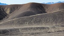 Private Tour Miradores Palpa Nazca with Nazca Lines Overflight