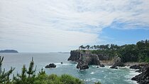 jeju island private taxi tour-West & South of JEJU
