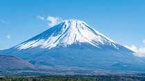 Mt.Fuji, Oishi Park & Arakurayama Sengen Park Bus Tour From Tokyo