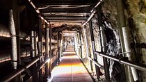 Private DMZ tour(Tunnel / Observation) with hotel pick up