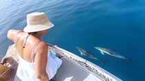 2 h Estepona Bay Tour