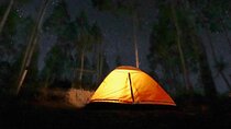 Mount Batur Camping Tour - Watch Sunset and Sunrise above 1717M 