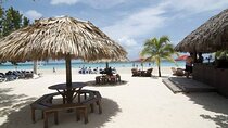 Negril Day Tour Adventure from Montego Bay