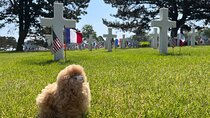 Normandy D-day landing beaches & Caen Memorial Private Tour 
