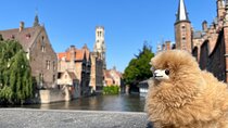 Bruges & Ghent Private tour from Paris with Tastings