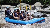White Water Rafting Adventure & Ubud Tour -Private All-Inclusive