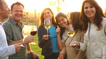 Be a winemaker Private Experience Lunch included