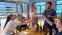 Wine Tasting Feel the Difference of Qvevri or Classical Wine