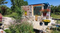 Private Bee Safari in Zadar