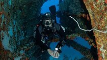 Scuba Diving in Colombo