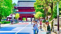 Tokyo Guided Small-Group Biking Tour